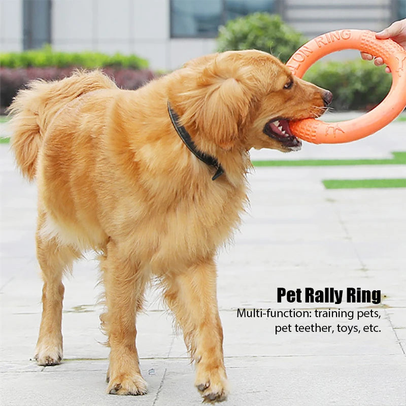 The Rally Ring